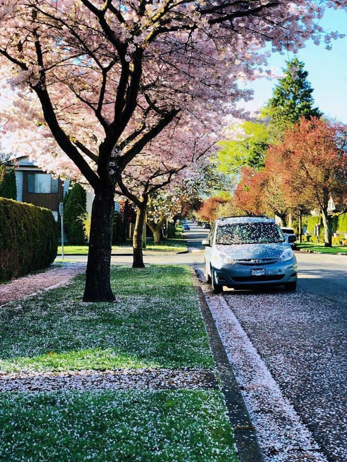 The Sunshine House-Free Parking Panzió Vancouver Kültér fotó